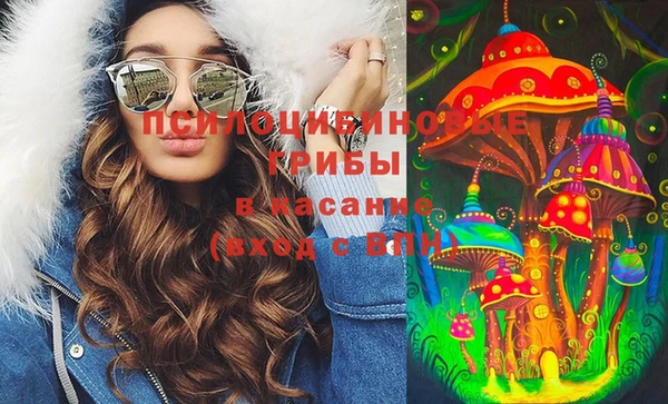 индика Алзамай