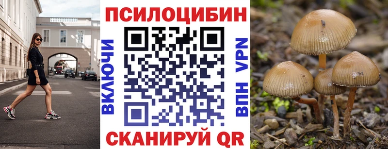 Галлюциногенные грибы Psilocybine cubensis  как найти наркотики  Соликамск 