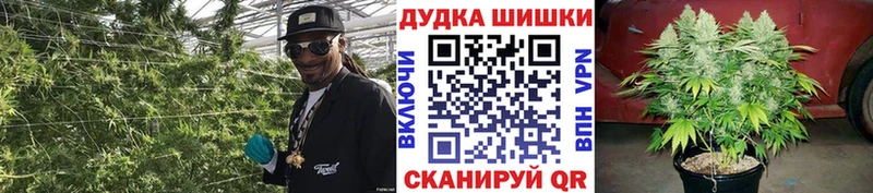 Каннабис ГИДРОПОН что такое наркотик Соликамск